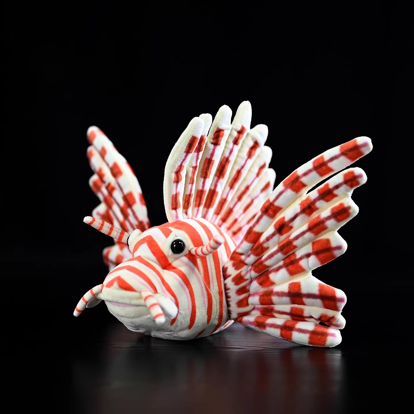 Aquarium Marine Park - Pterois Volitani Barriera corallina Pesce Mare