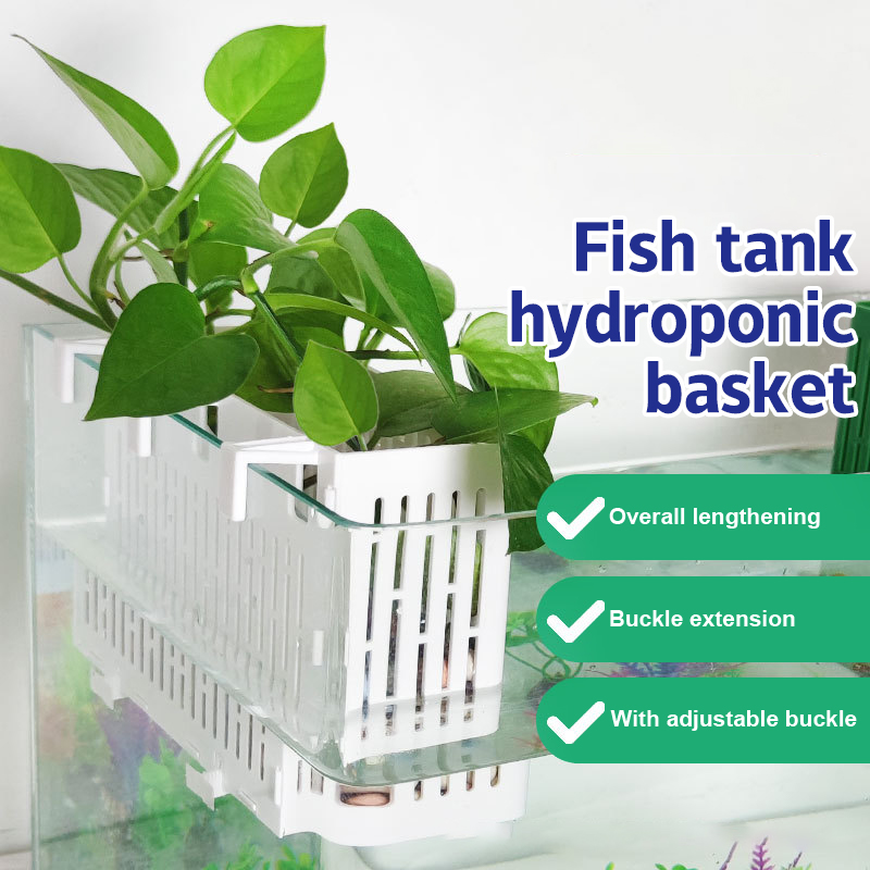 Aquarium Marine Plants - 【F】Porta-piante sospeso per acquario, cestino idroponico