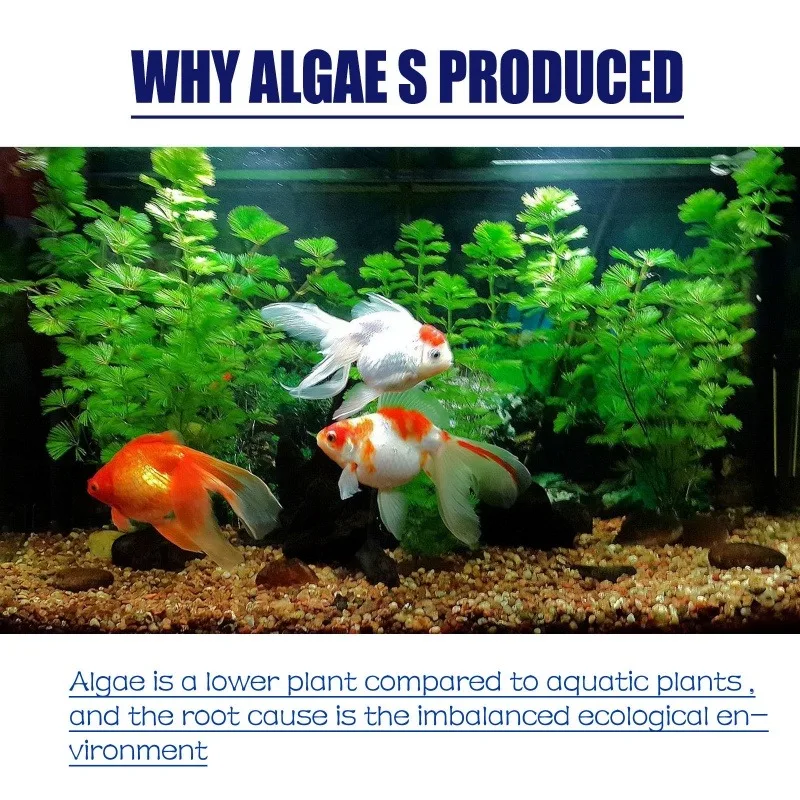 Algaecida ad alta efficienza d - Aquarium Marine Plants recensione e prezzo