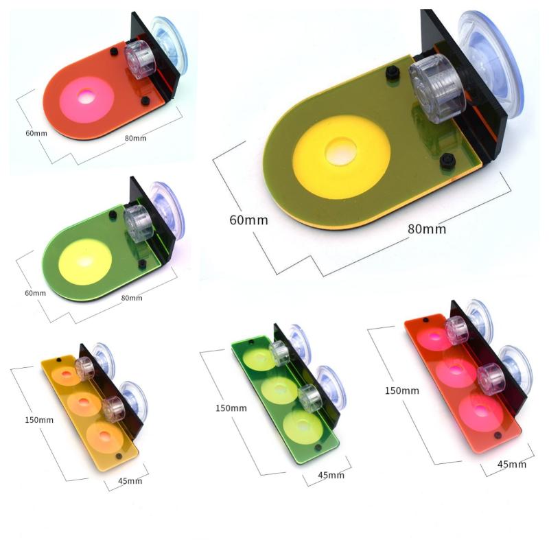 Supporto per Coralli in Acrili - Aquarium Marine Fishes recensione e prezzo