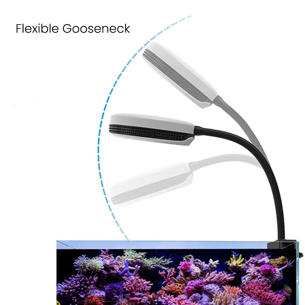 Lampada LED per Acquario Spect - Aquarium Marine Fishes recensione e prezzo