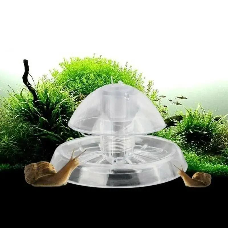 Nuova Trappola per Lumache in  - Aquarium Marine Plants recensione e prezzo
