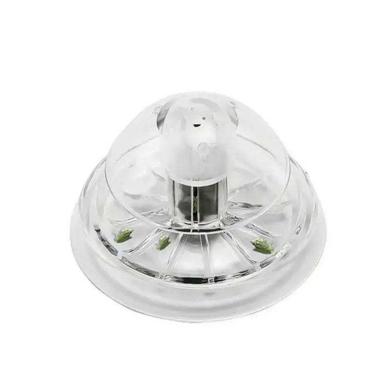 Nuova Trappola per Lumache in  - Aquarium Marine Plants recensione e prezzo
