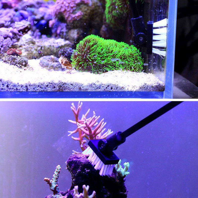 Spazzola per la pulizia della  - Marine Aquarium Glass Cleaner recensione e prezzo