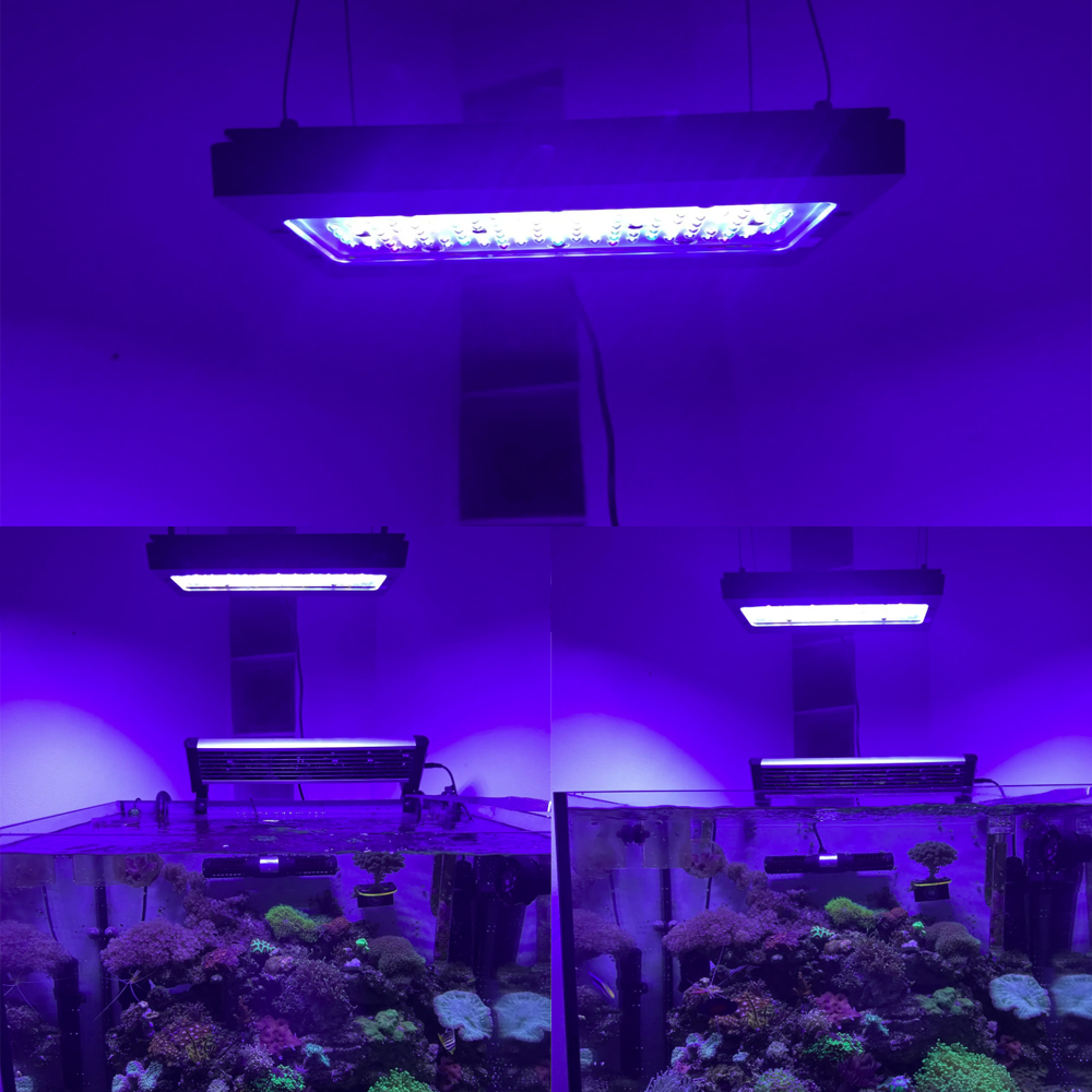 A8se Pro III MAX Blu 240W Luce - Aquarium Marine Blue recensione e prezzo