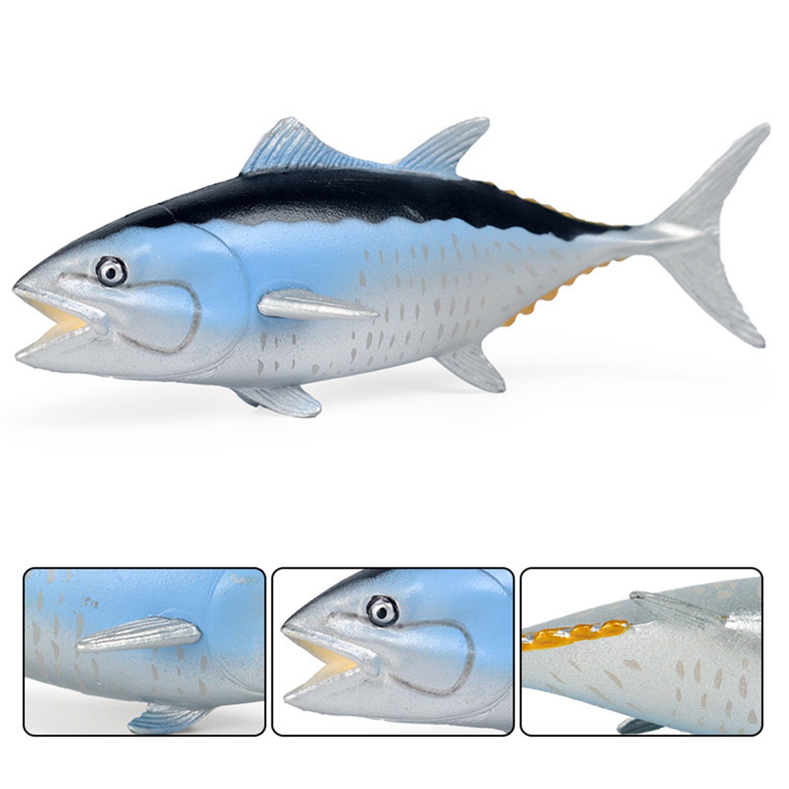 Set scientifico marino per bam - Marine Zoo recensione e prezzo