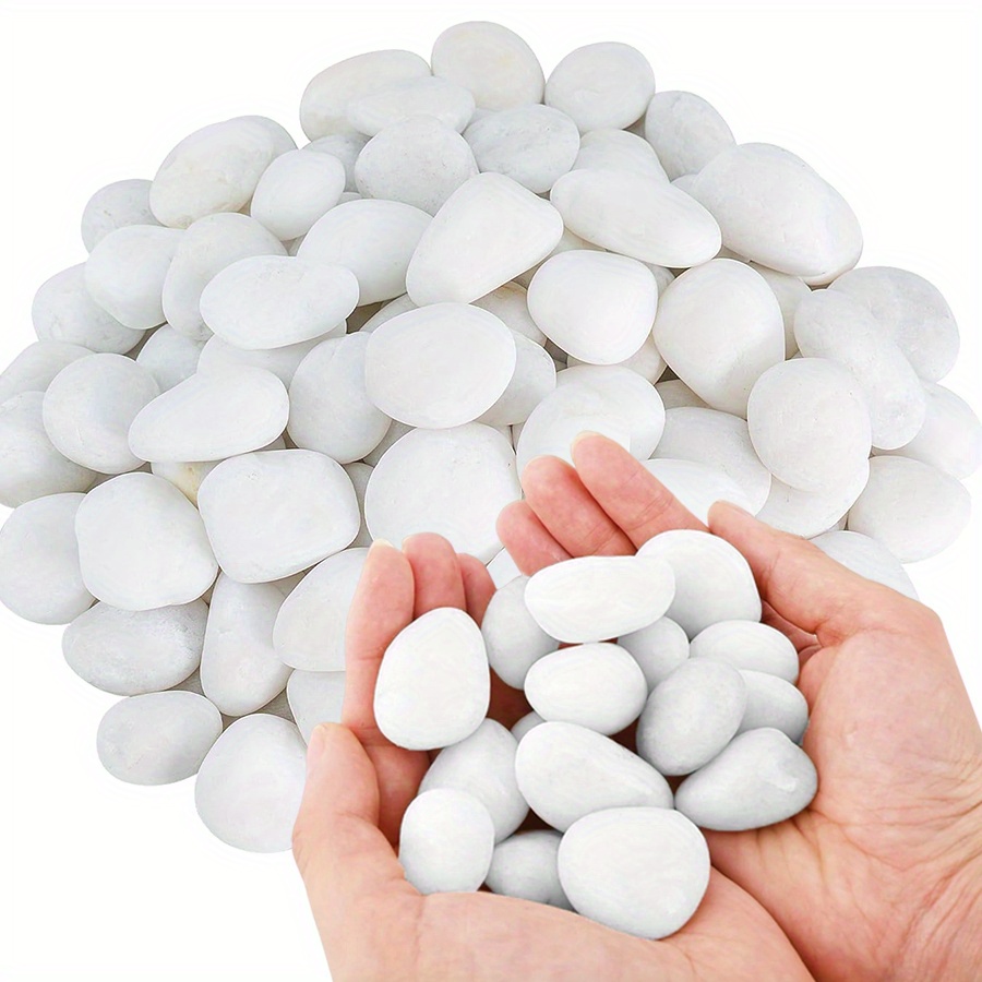 200/400g Bianco Alto Lucido Ci - Aquarium Marine Plants recensione e prezzo