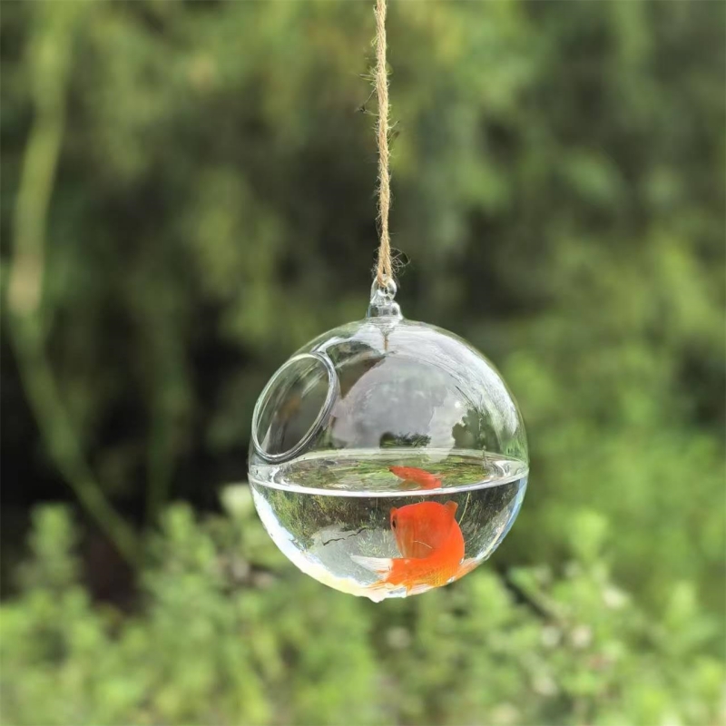 Terrario in Vetro Trasparente  - Aquarium & Marine Museum Ums recensione e prezzo