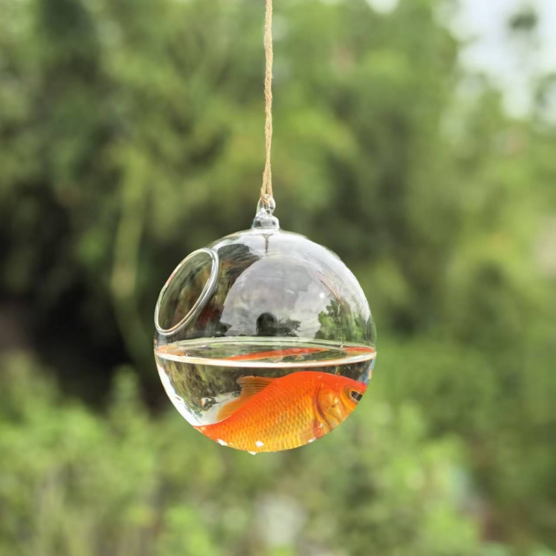 Terrario in Vetro Trasparente  - Aquarium & Marine Museum Ums recensione e prezzo