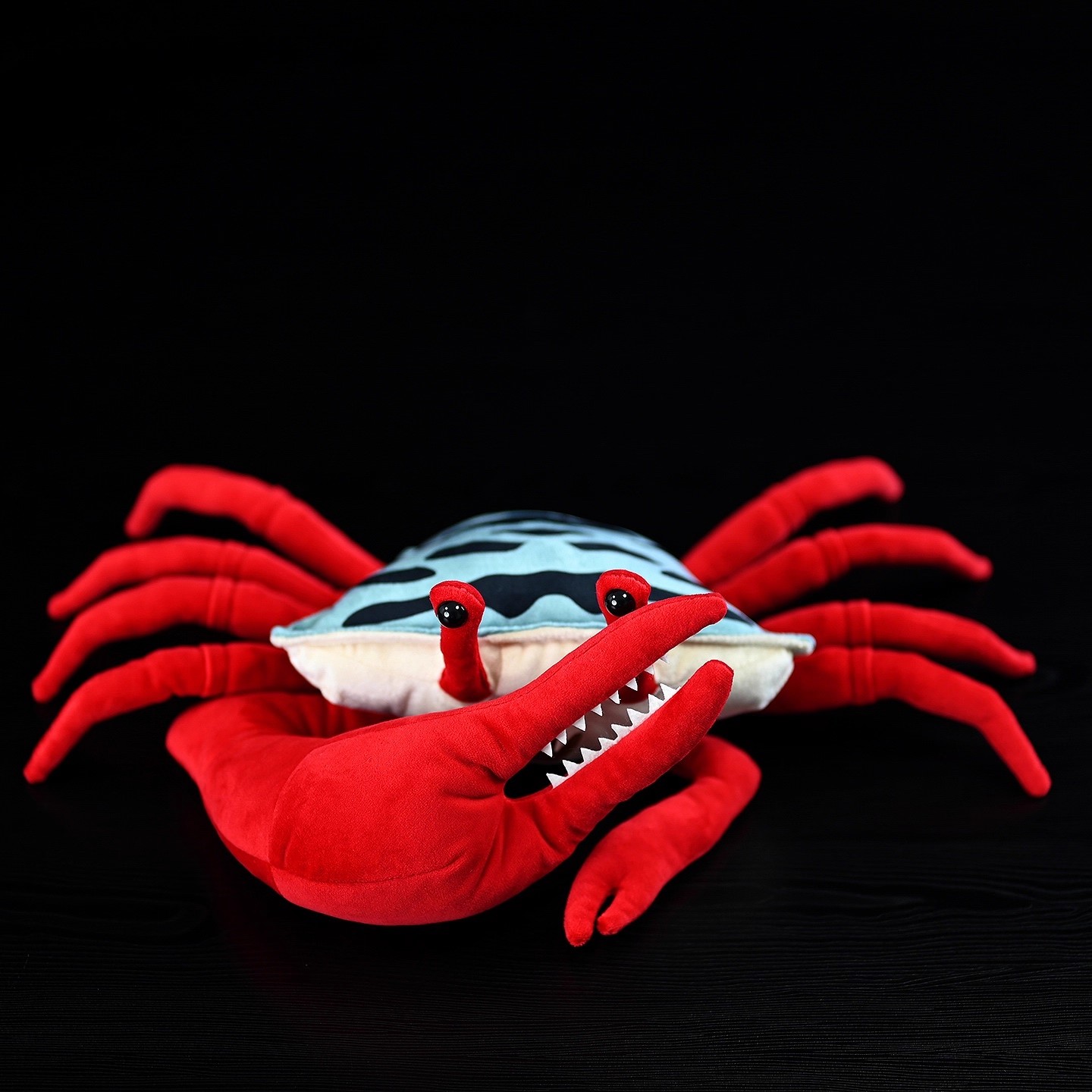 Artiglio rosso Fiddler Granchi - Aquarium Marine Park recensione e prezzo