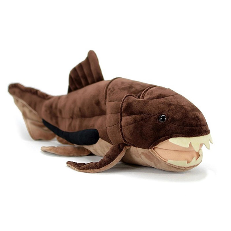 Dunkleosteus terrelli Dunkle P - Aquarium Marine Park recensione e prezzo