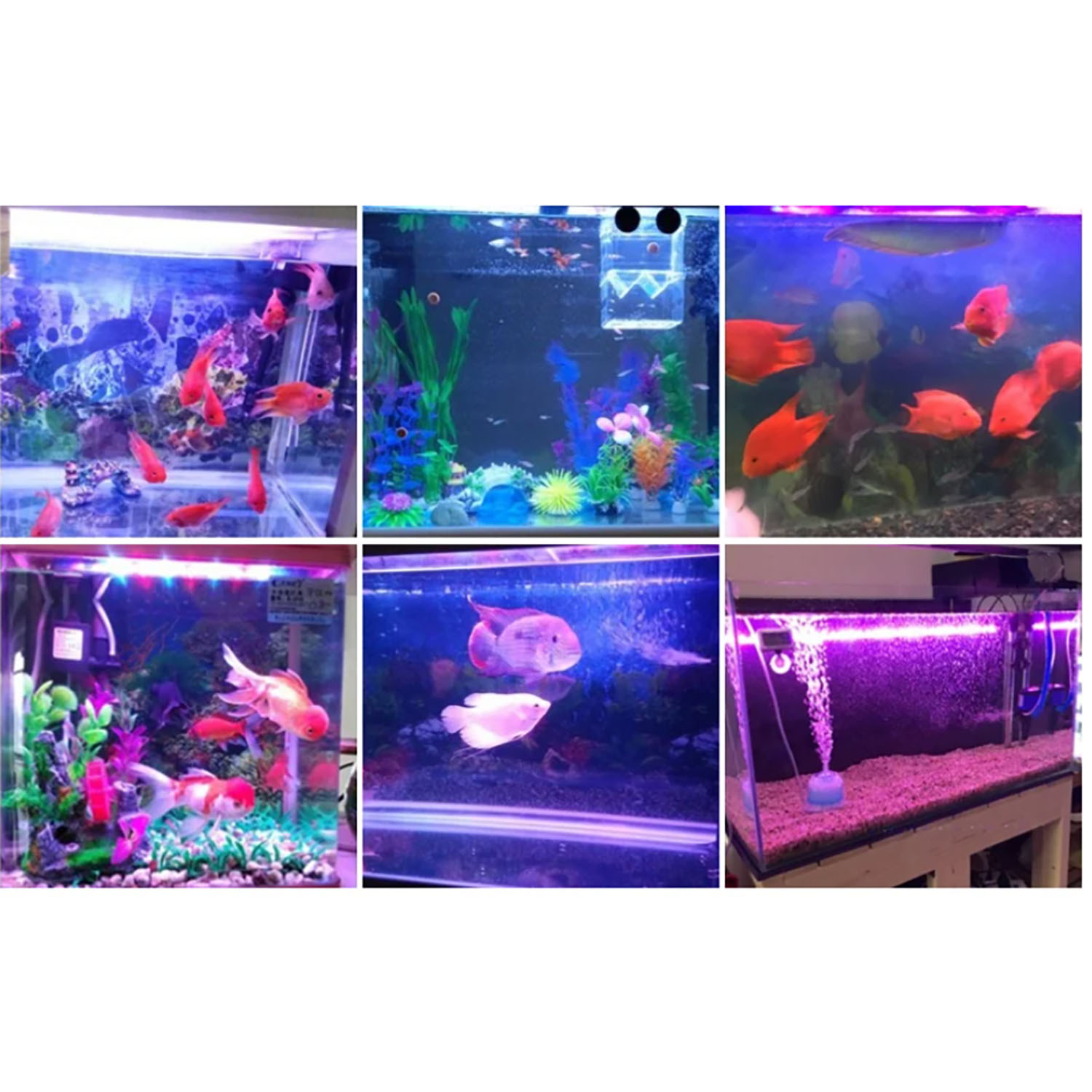 Illuminazione LED per Acquario - Marine Aquarium Uv recensione e prezzo