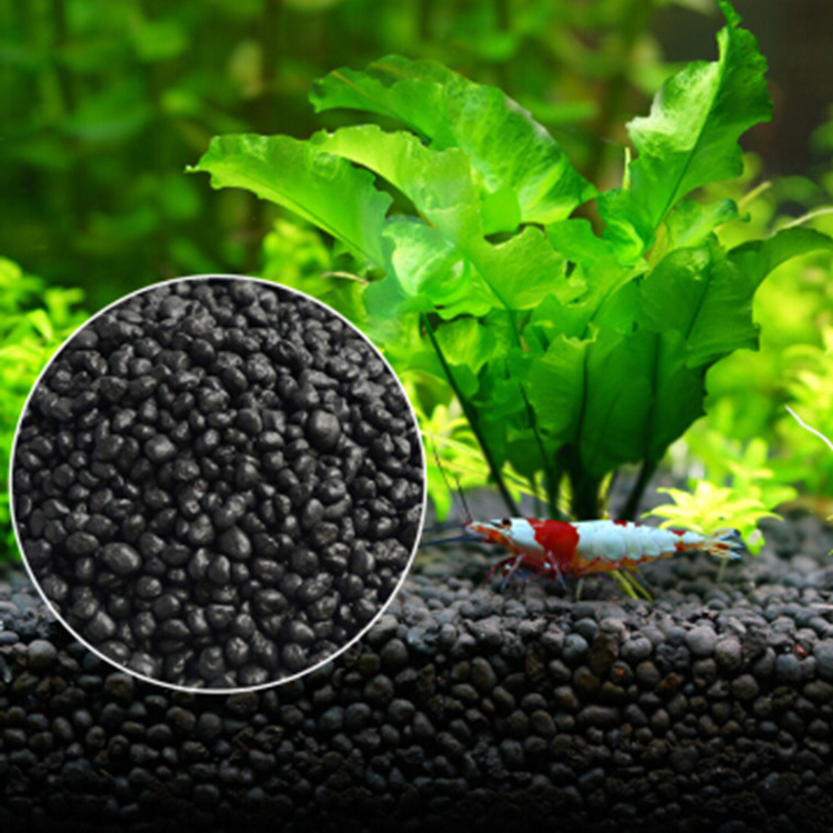 Acquario semi di piante terren - Aquarium Marine Plants recensione e prezzo
