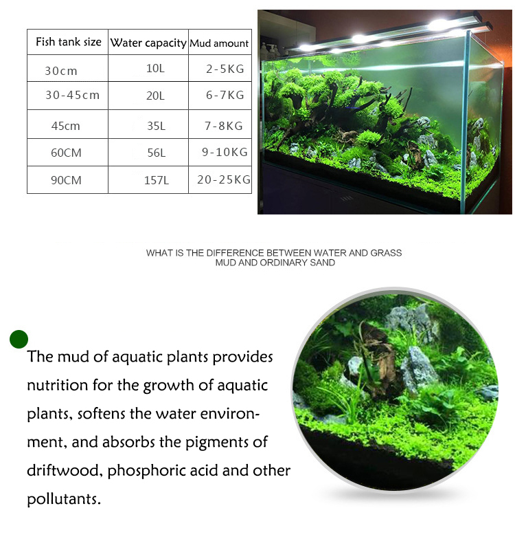 Acquario semi di piante terren - Aquarium Marine Plants recensione e prezzo