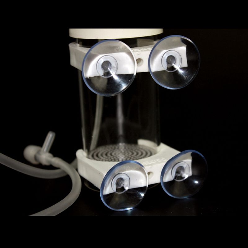 Incubatrice per Uova di Ciclid - Aquarium & Marine Museum Ums recensione e prezzo