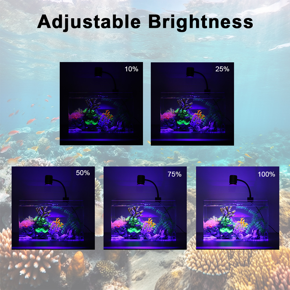 Lampada LED per Acquario a Spe - Marine Aquarium Uv recensione e prezzo