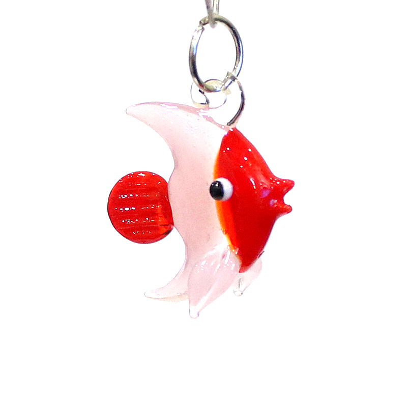 Due casi presentati in miniatu - Aquarium Marine Fishes recensione e prezzo