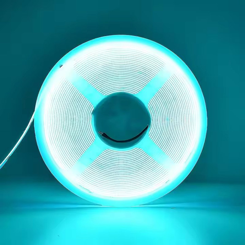 5m12V 24V 3mm 5mm 8mm COB Stri - Aquarium Marine Park recensione e prezzo