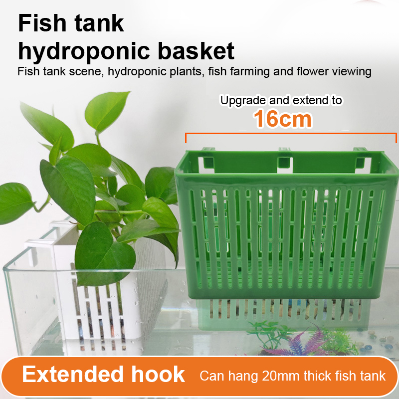 【F】Porta-piante sospeso per ac - Aquarium Marine Plants recensione e prezzo