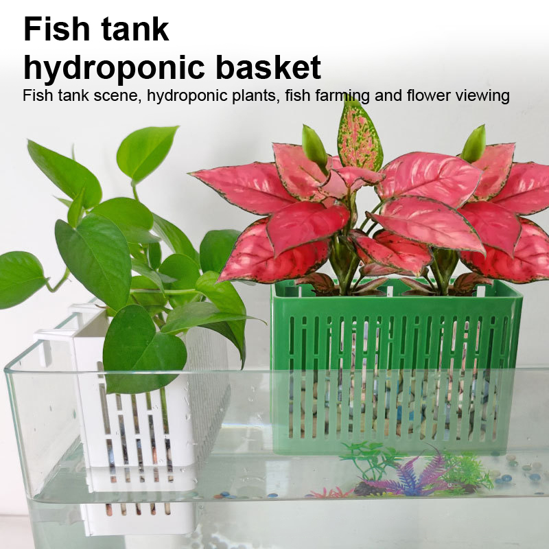 【F】Porta-piante sospeso per ac - Aquarium Marine Plants recensione e prezzo