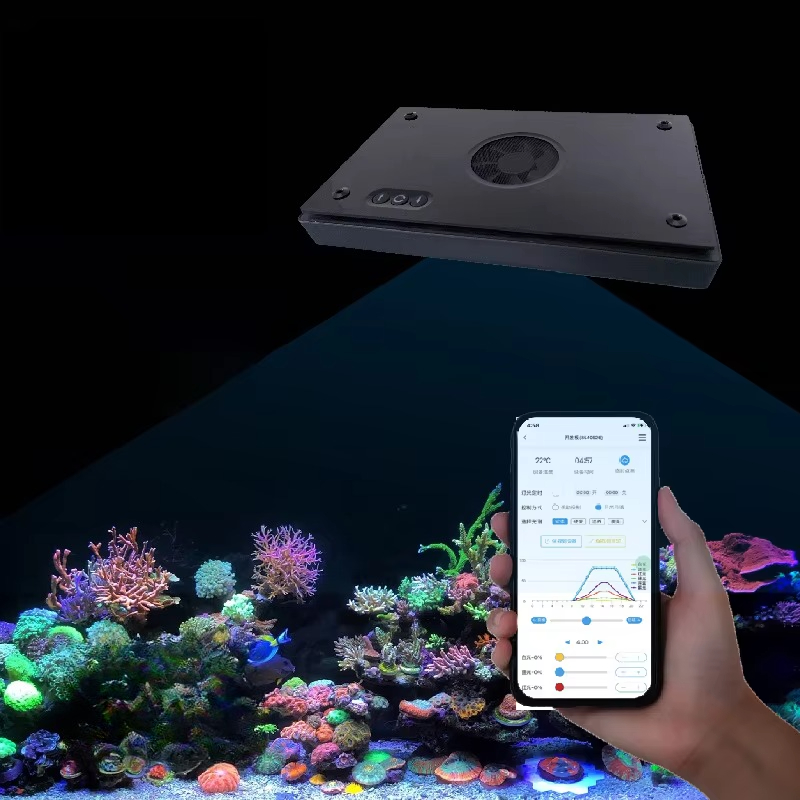 II Max/Blue 2.0 Generazione 24 - Aquarium Marine Blue recensione e prezzo